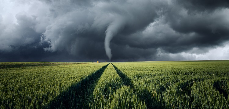 Revolutionizing Tornado Response: Amica Mutual Insurance and Canopy Weather Team Up to Better Serve Policyholders