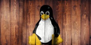 Unmasking BPFdoor: The Latest Stealthy Linux Malware Linked to Red Menshen