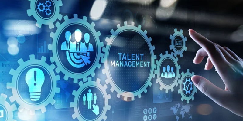 Importance of Talent Management for Sustainable Business Growth