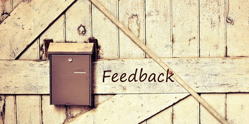 Harnessing Employee Feedback for a Customized Compensation and Benefits Strategy