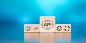 The Criticality of Standardized APIs in Delivering Innovative Services Through NaaS Solutions