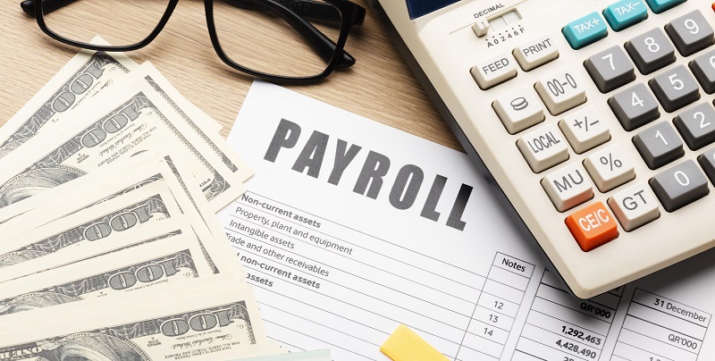 Streamlining Business Operations: The Integral Role of Payroll Software Integration