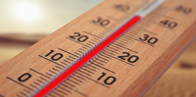 Exploring the Czech Labor Code: Ensuring Employee Safety and Comfort During Heatwaves