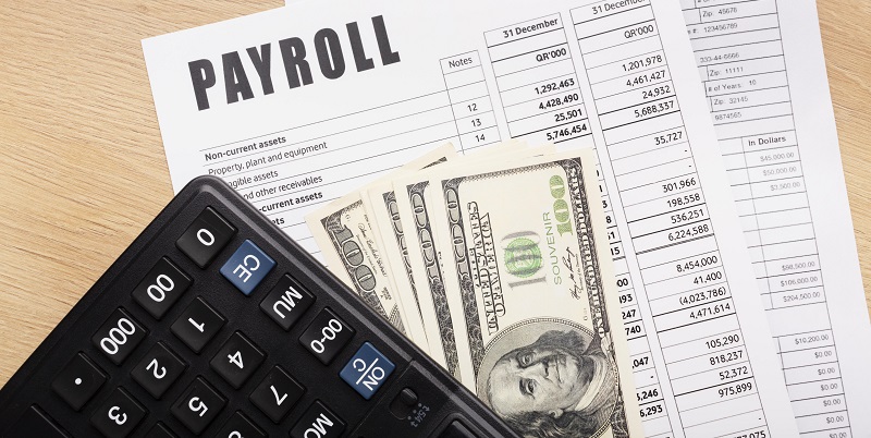 Decoding the Art of Payroll Management: A Comprehensive Guide to Choosing The Right Payroll Software for Your Business