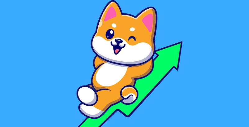 Riding the Meme Coin Wave: A Deep Dive into Shiba Inu, Pepe, and Pomerdoge