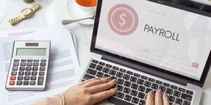 Digital Transformation: Unravelling the Growth Potential of the Small Business Payroll Software Market