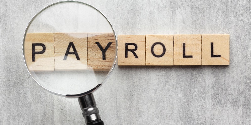 Powering Modern Business Operations: The Strategic Impact of Payroll Software