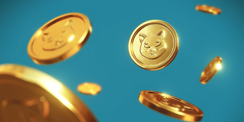 Shiba Inu Coin’s Plunge: An Investigation into the Performance, Market Conditions, and Future Predictions