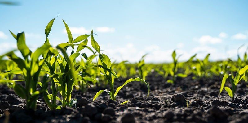 The Future of Farm Equipment: Addressing Soil Compaction with Dock and Refill Technology