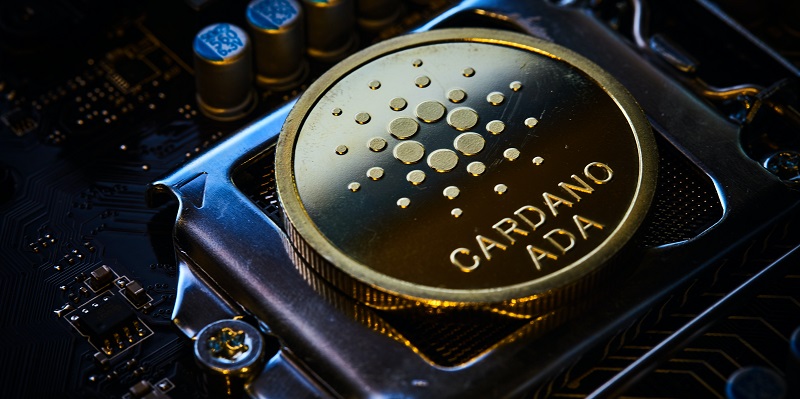 Cardano, Bitcoin Spark & BTCS App: An In-depth Look at Their Structure, Unique Features and Future Outlook in the Cryptocurrency Market