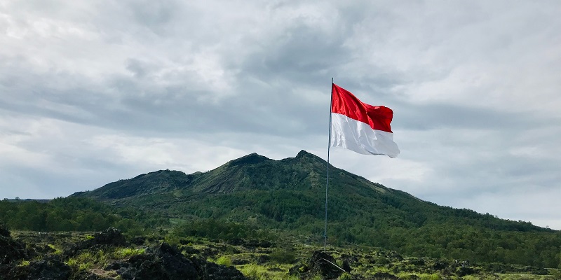 Indonesia’s Digital Transformation: Navigating the Future with DEFA