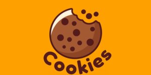 Surviving the Post-Cookie Era: Leveraging First-Party Data and Partnerships for Effective Digital Marketing