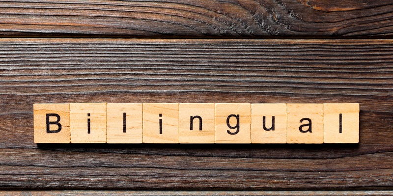 The Power of Bilingual Support: Enhancing Customer Service through Language Excellence