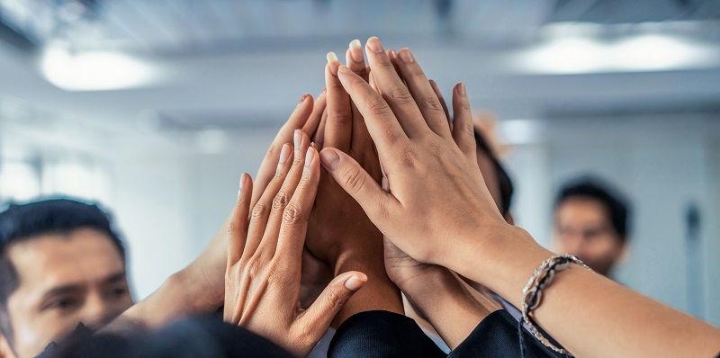 Fostering a Vibrant Company Culture: The Essential Role of Human Connection