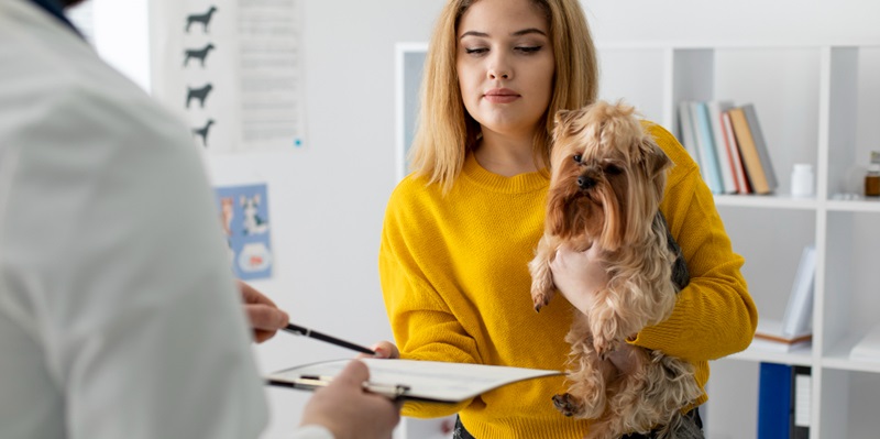 The Rise of Pet Insurance: A Win-Win for Employers and Employees