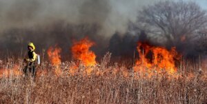 ZestyAI’s AI-powered Tool Z-FIRE: A Breakthrough in Wildfire Risk Assessment for California FAIR Plan Insurance Policies