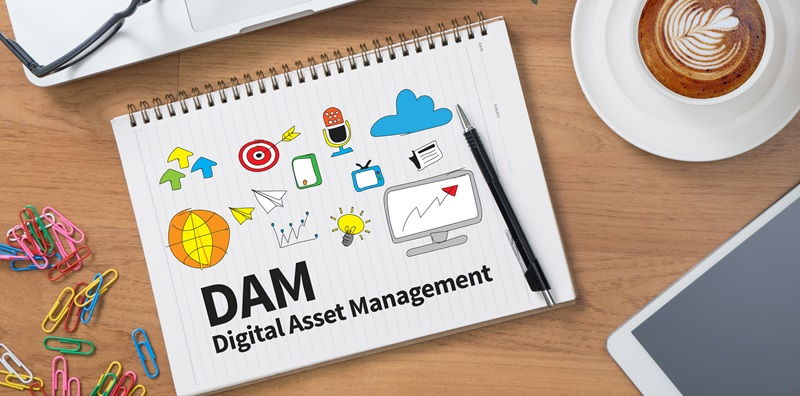 Maximizing DAM Success: Best Practices for Auditing, Maintenance, and User Training