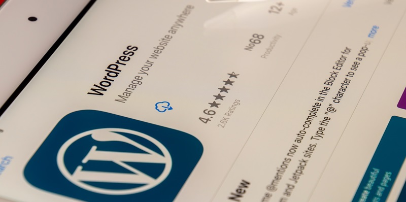 WordPress 6.4.2 Update Addresses Critical Security Flaw