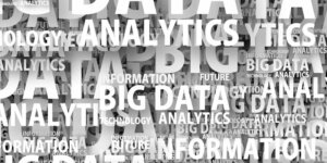 Exploring the Various Roles in the Dynamic World of Data Science