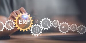 Tailoring Success: The Power of Customization and Extensions in ERP Systems