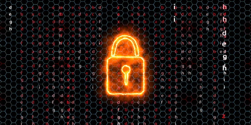 How Can Organizations Overcome the Challenges of Data Encryption?