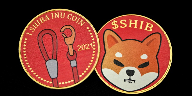 Shiba Inu’s Shibarium Launch Spurs Growth Amid Skepticism