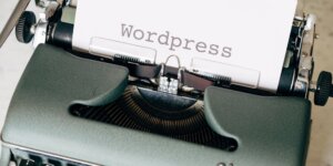 Is Your WordPress Site Safe from New Plugin Vulnerabilities?