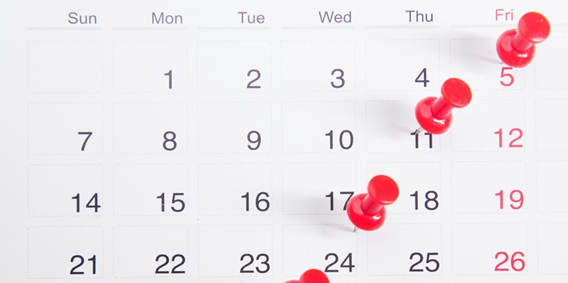 How Can Your Brand Leverage the 2024 Marketing Calendar?