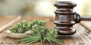 Navigating Marijuana Policy: A Case Study in Workplace Law