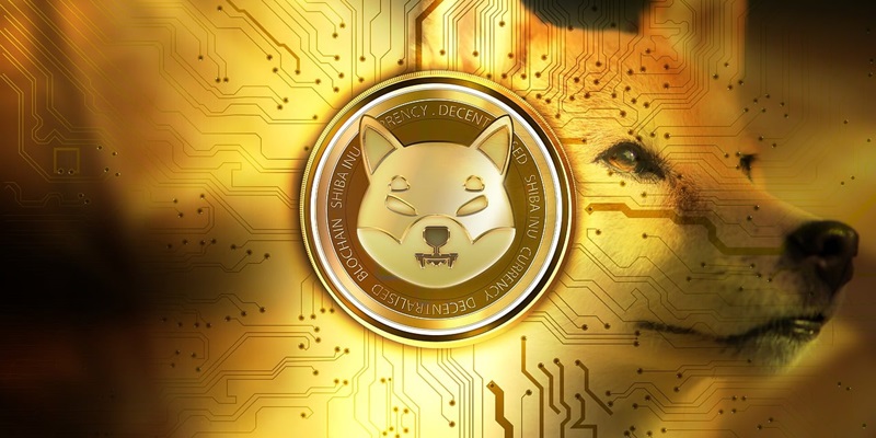 Shiba Inu Secures $12M for Privacy-Centric Layer 3 Blockchain