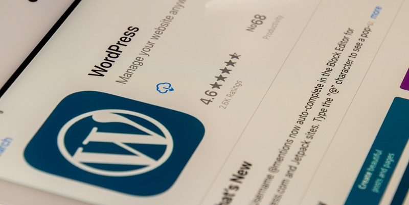 How Can WordPress Users Combat Critical Plugin Flaws?