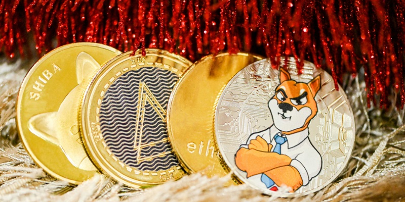 How Will Memelandia Propel Meme Coins on TON Blockchain?