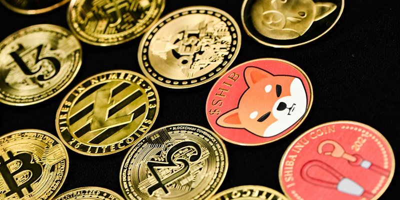 Meme Coin Surge in 2024: Bonk, Pepe, Dogecoin, Furrever