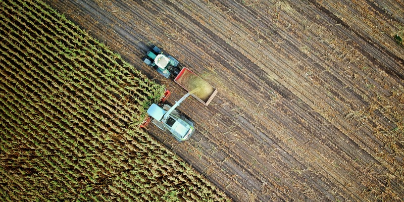 Can AI Improve Harvest Predictions and Save Resources in Agriculture?