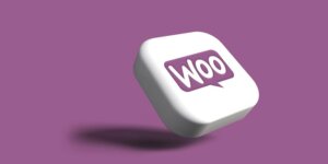 Are WooCommerce WZone Plugin Vulnerabilities a Risk to Your Site?