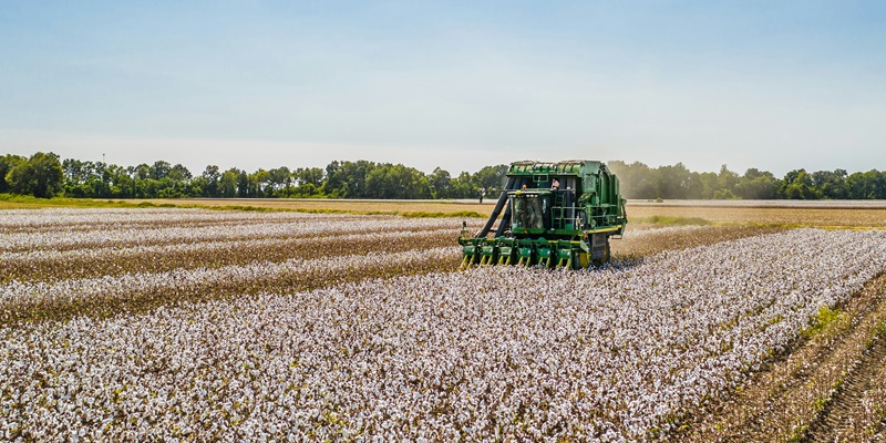 Digital Tech Revolutionizes Cotton Industry from Farm to Market