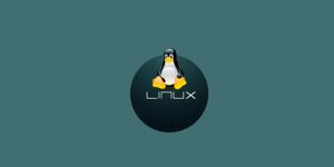 Microsoft Boosts WSL with Latest Linux 6.6 Kernel Upgrade