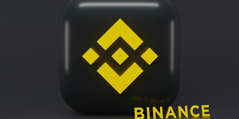 Binance and Crypto Market Show Resilience Amid 2024 Growth and Challenges