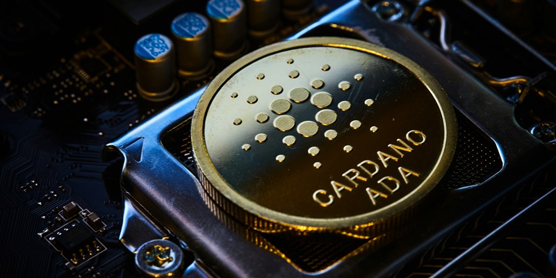 What Does Cardano’s Chang Hard Fork Mean for Decentralization?