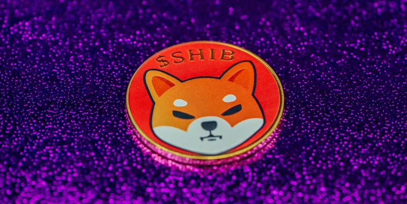 Shiba Inu Prepares DAO Launch, Leash Holders Key to Ethical Governance