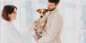 Why Is APOLLO Insurance Entering the Canadian Pet Insurance Market?