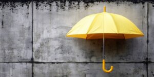 Demex Group Secures $10.25M for Innovative Storm Reinsurance Solutions