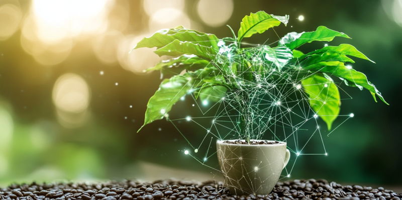 Blockchain and AI Transform Coffee Production for EUDR Compliance