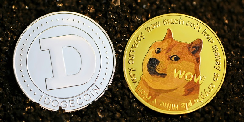 Is Dogecoin’s Future Bright with Whale Investments and Rising Demand?