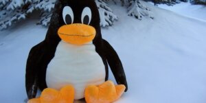 Future of Linux Kernel Development Without Linus Torvalds