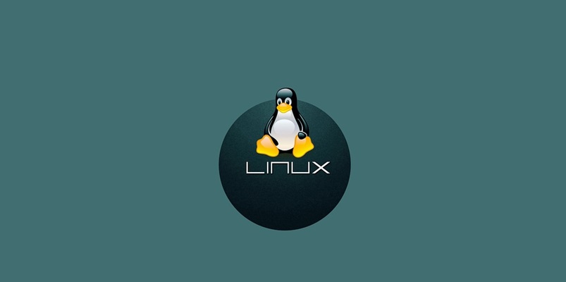 Transitioning from Political Change to Digital Freedom with Linux