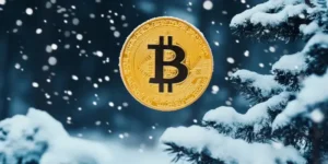 Bitcoin Volatility Offers Investment Opportunities Amid Institutional Adoption