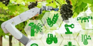 Smart Farming Analytics Platform Boosts Yields and Sustainability