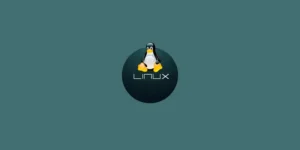 Is Nitrux Linux 3.9.0 the Best Alternative to Windows 11?