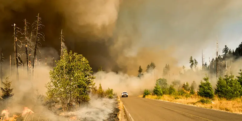 How Can Z-FIRE Revolutionize Wildfire Risk Assessment for Insurers?